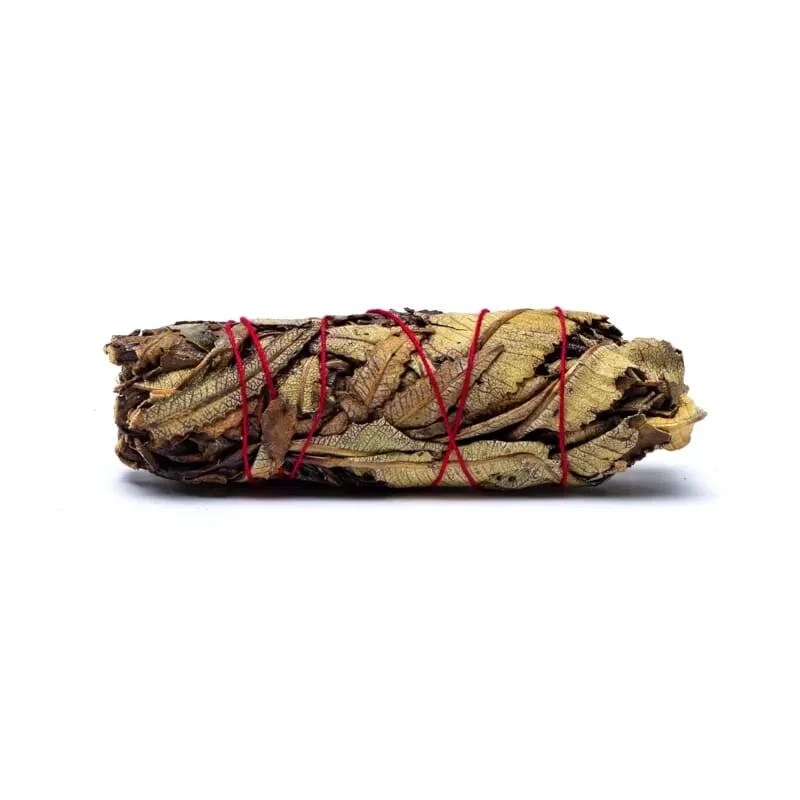 Fagot de Sauge Yerba Santa – Image 2